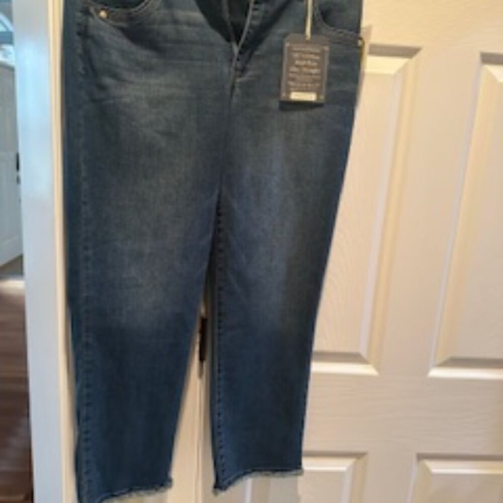 Democracy Plus Size "Ab" Solution Cascading-D Fray Slim Straight Jeans